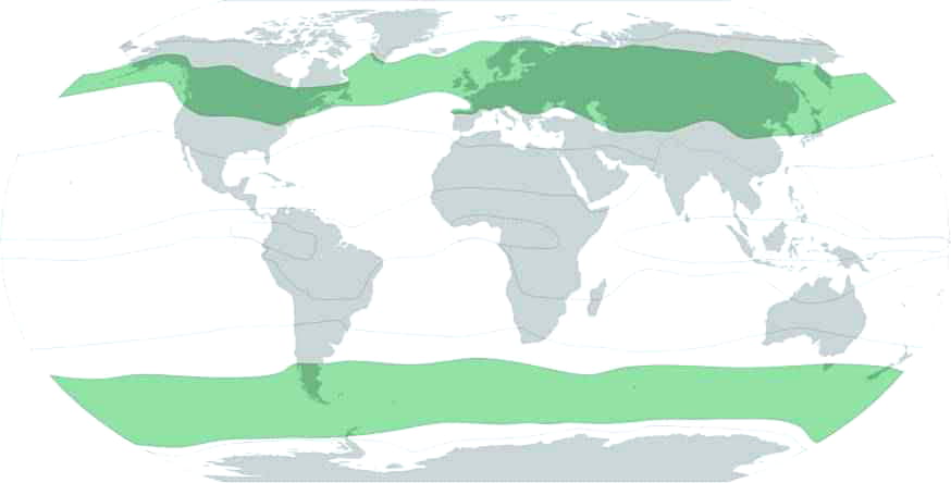 Умеренный климатический пояс на карте мира