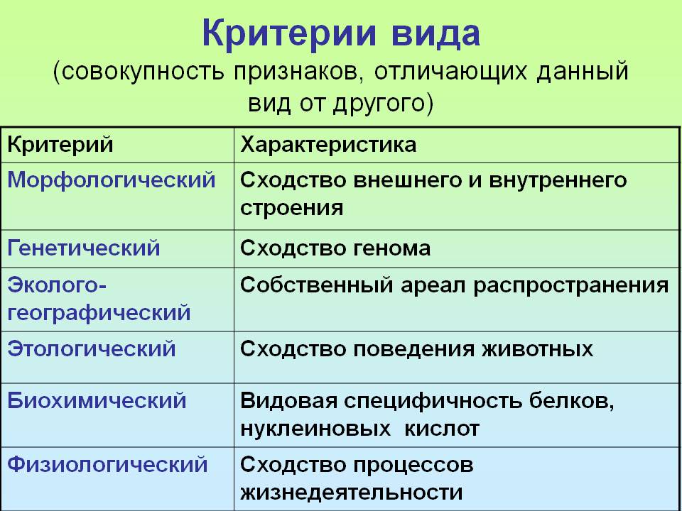 Критерии характеристики изображений